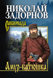 бесплатно читать книгу Амур-батюшка автора Николай Задорнов