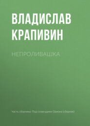 бесплатно читать книгу Непроливашка автора Владислав Крапивин