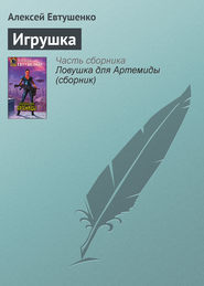 бесплатно читать книгу Игрушка автора Алексей Евтушенко