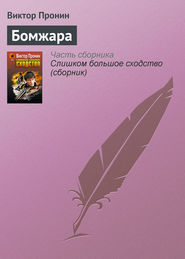 бесплатно читать книгу Бомжара автора С. Ведехина
