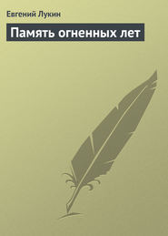 бесплатно читать книгу Память огненных лет автора Евгений Лукин