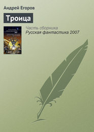 бесплатно читать книгу Троица автора Андрей Егоров