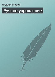 бесплатно читать книгу Ручное управление автора Андрей Егоров