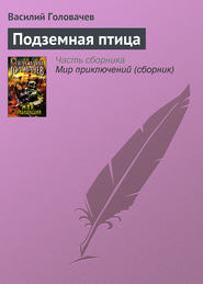 бесплатно читать книгу Подземная птица автора Василий Головачев