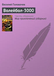 бесплатно читать книгу Волейбол-3000 автора Василий Головачев
