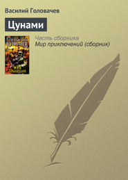 бесплатно читать книгу Цунами автора Василий Головачев