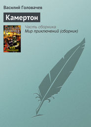 бесплатно читать книгу Камертон автора Василий Головачев