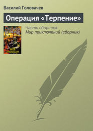 бесплатно читать книгу Операция «Терпение» автора Василий Головачев