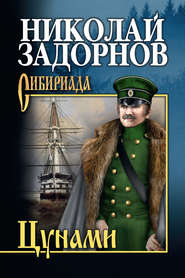 бесплатно читать книгу Цунами автора Николай Задорнов