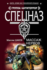 бесплатно читать книгу Массаж нервов автора Максим Шахов