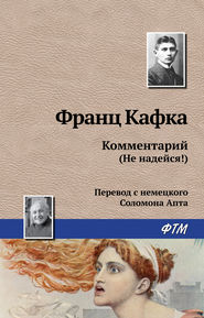 бесплатно читать книгу Комментарий (не надейся!) автора Франц Кафка