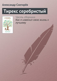 бесплатно читать книгу Тирекс серебристый автора Александр Снегирёв