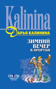 бесплатно читать книгу Зимний вечер в проруби автора Дарья Калинина