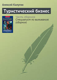 бесплатно читать книгу Туристический бизнес автора Алексей Калугин
