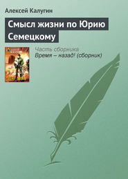 бесплатно читать книгу Смысл жизни по Юрию Семецкому автора Алексей Калугин