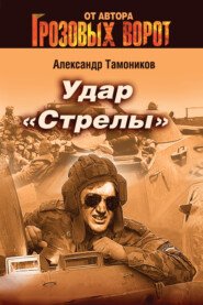 бесплатно читать книгу Удар «Стрелы» автора Александр Тамоников