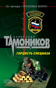 бесплатно читать книгу Гордость спецназа автора Александр Тамоников
