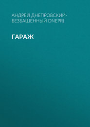 бесплатно читать книгу Гараж автора Андрей Днепровский-Безбашенный (A.DNEPR)