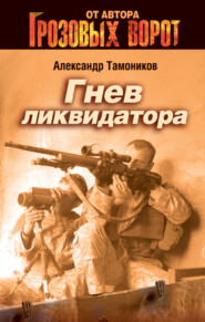 бесплатно читать книгу Гнев ликвидатора автора Александр Тамоников