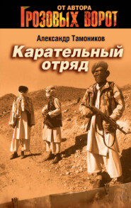 бесплатно читать книгу Карательный отряд автора Александр Тамоников