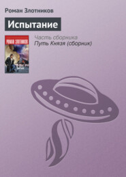 бесплатно читать книгу Испытание автора Роман Злотников