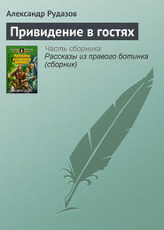 бесплатно читать книгу Привидение в гостях автора Александр Рудазов