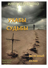 бесплатно читать книгу Железный кулак автора Илья Деревянко