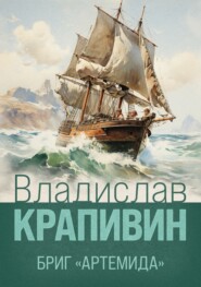 бесплатно читать книгу Бриг «Артемида» автора Владислав Крапивин