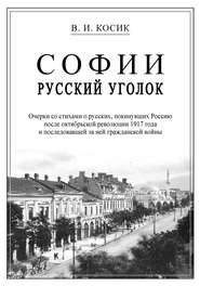 бесплатно читать книгу Софии русский уголок автора Виктор Косик