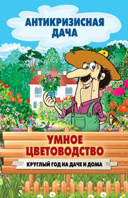 бесплатно читать книгу Умное цветоводство круглый год на даче и дома автора Сергей Кашин