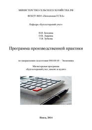бесплатно читать книгу Программа производственной практики автора Татьяна Зубкова