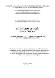 бесплатно читать книгу Компьютерный практикум автора М. Токарева