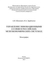 бесплатно читать книгу Управление инновационными сетями в российских мезоэкономических системах автора А. Шинкевич