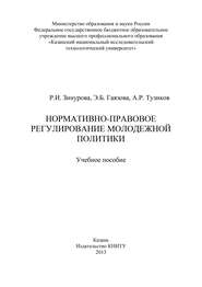 бесплатно читать книгу Нормативно-правовое регулирование молодежной политики автора Р. Зинурова