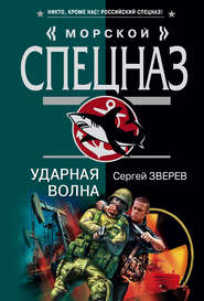 бесплатно читать книгу Ударная волна автора Сергей Зверев