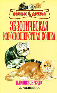бесплатно читать книгу Экзотическая короткошерстная кошка автора Л. Чиликина