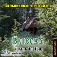 бесплатно читать книгу В лесах (часть третья) автора Павел Мельников-Печерский