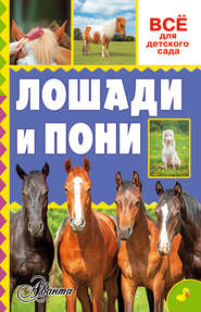 бесплатно читать книгу Лошади и пони автора О. Костикова