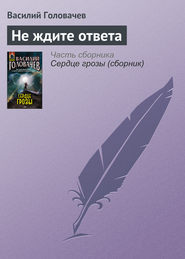 бесплатно читать книгу Не ждите ответа автора Василий Головачев