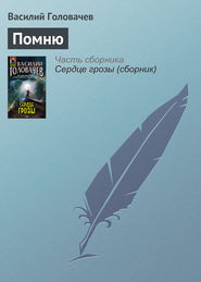 бесплатно читать книгу Помню автора Василий Головачев