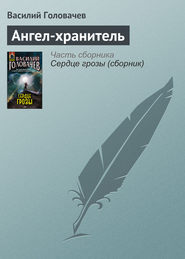 бесплатно читать книгу Ангел-хранитель автора Василий Головачев