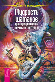 бесплатно читать книгу Мудрость шаманов для превращения мечты в поступок автора Альберто Виллолдо