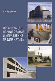 бесплатно читать книгу Организация планирование и управление предприятием автора Евгений Кудрявцев