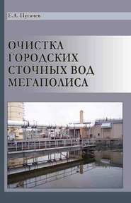 бесплатно читать книгу Очистка городских сточных вод мегаполиса автора Евгений Пугачев