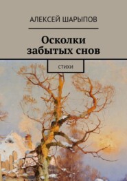 бесплатно читать книгу Осколки забытых снов. Стихи автора Алексей Шарыпов