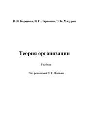 бесплатно читать книгу Теория организации автора Валентина Борисова