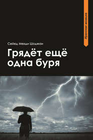 бесплатно читать книгу Грядет еще одна буря автора Сейед Мехди Шоджаи