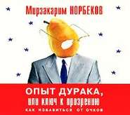 бесплатно читать книгу Опыт дурака, или Ключ к прозрению автора Мирзакарим Норбеков