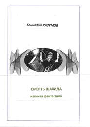 бесплатно читать книгу Смерть шахида автора Геннадий Разумов
