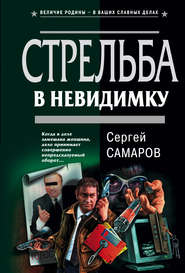 бесплатно читать книгу Стрельба в невидимку автора Сергей Самаров
